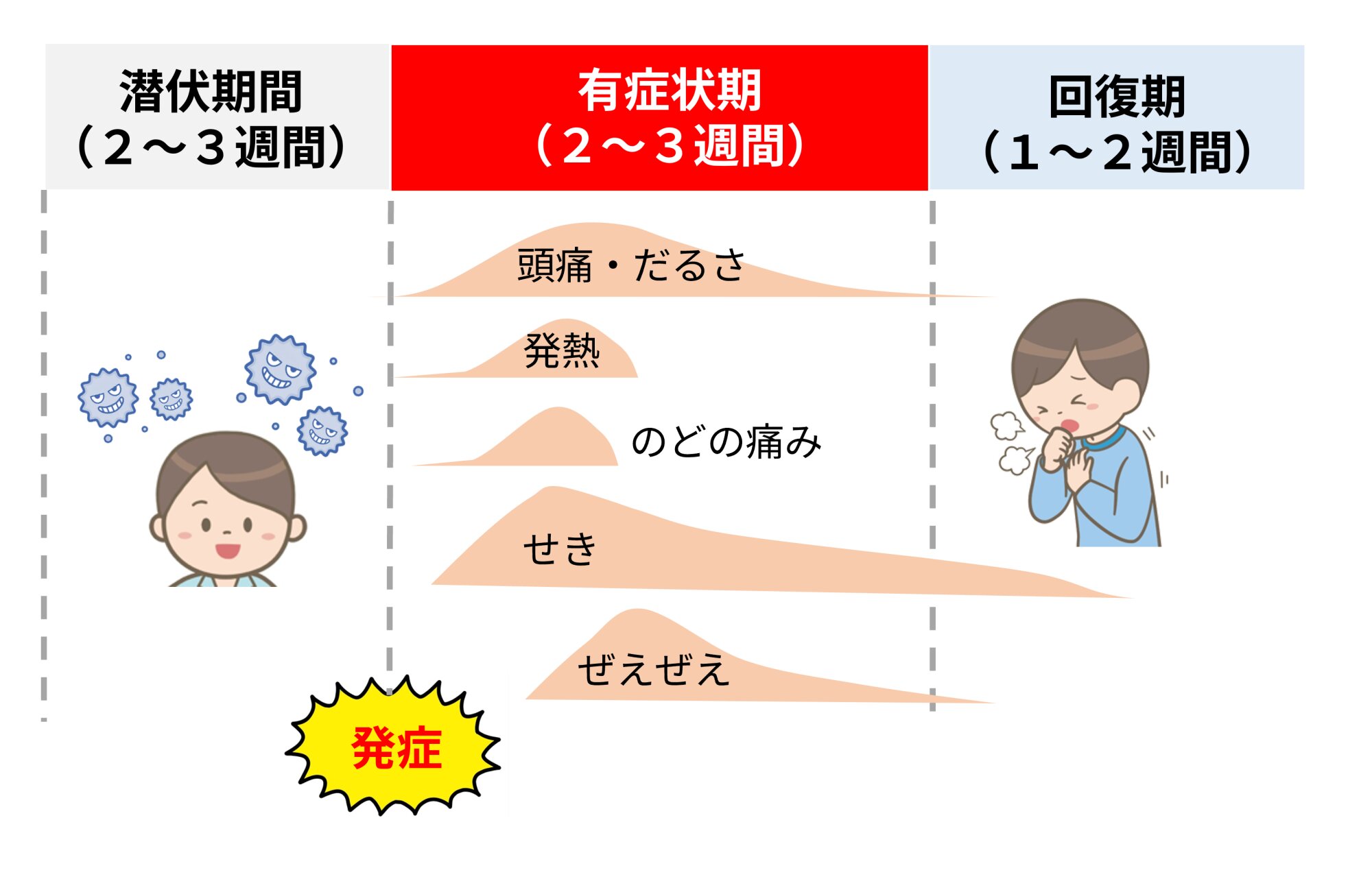 気管支炎は何日休む？仕事復帰の目安と熱なしでも休むべき理由【2026】