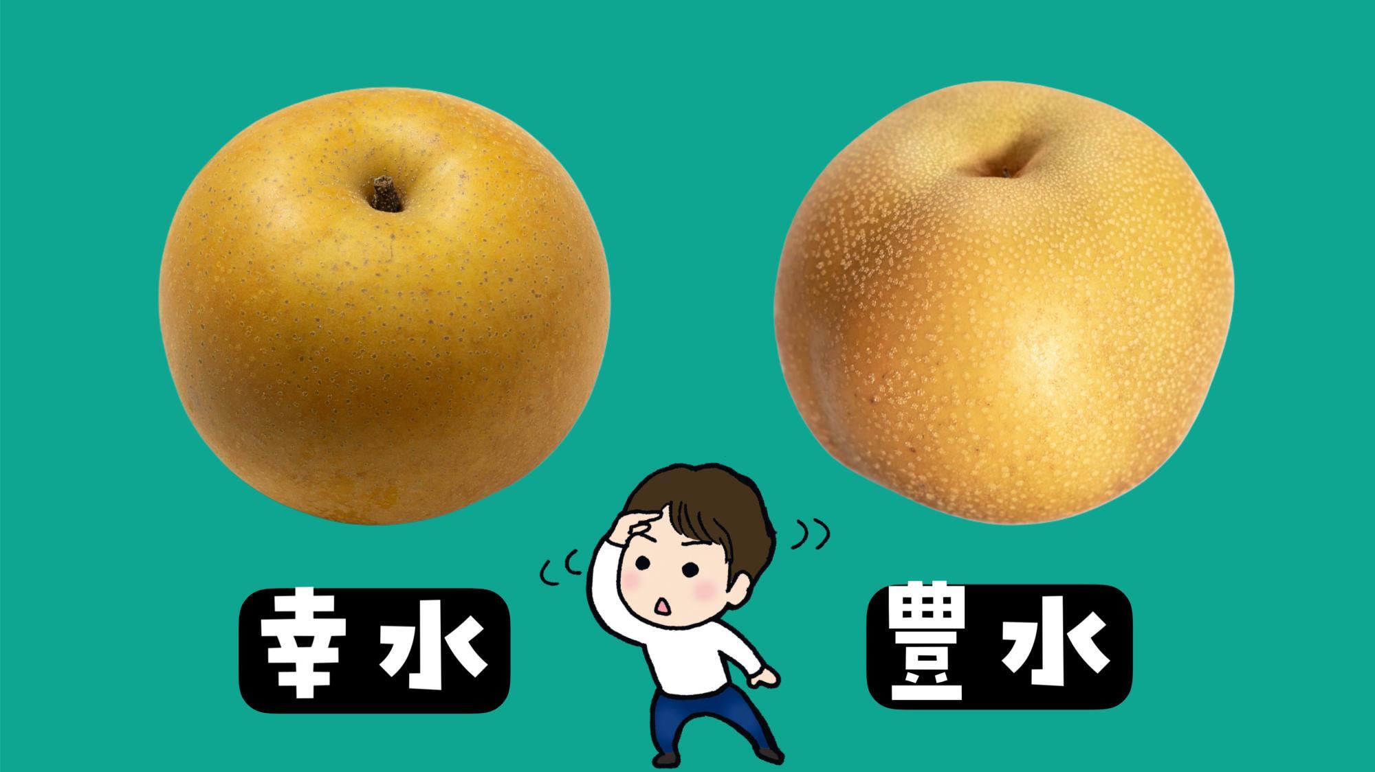幸水と豊水の違いは何？甘さや旬・見分け方の決定打を徹底比較