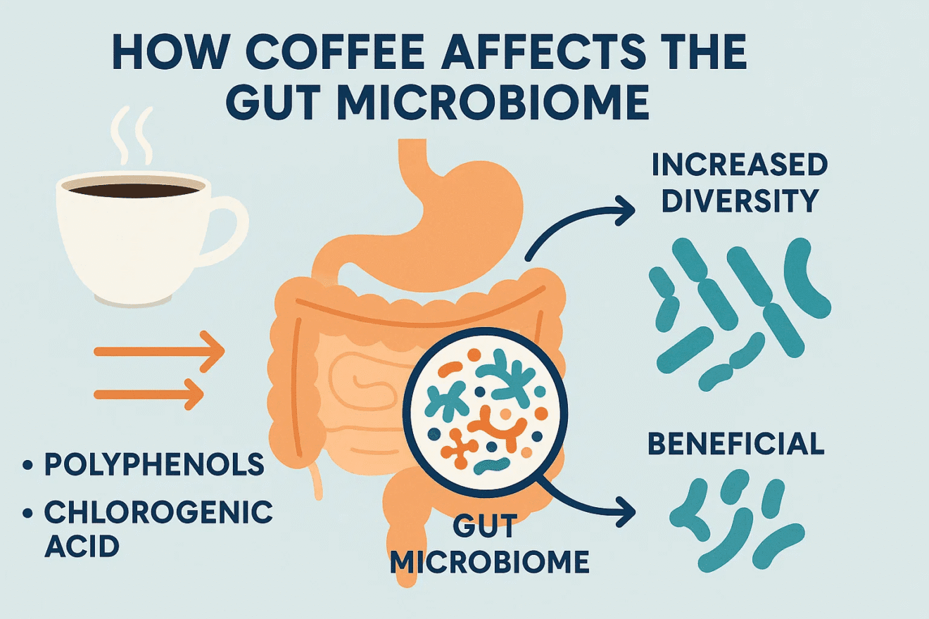 Is Coffee Good for Indigestion