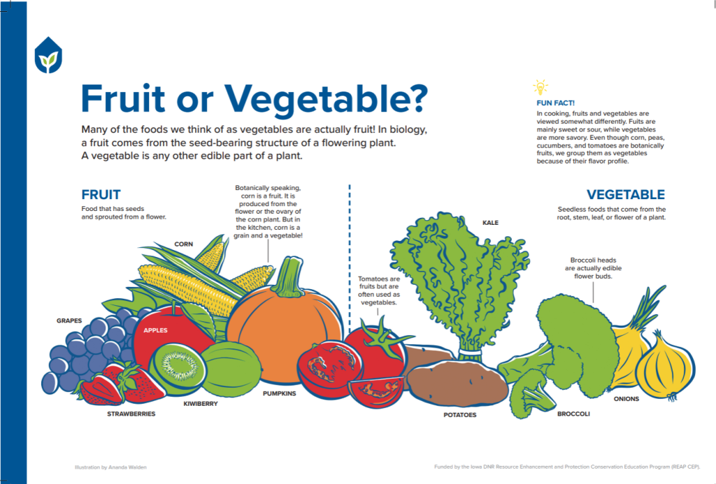 Is It a Fruit or Vegetable