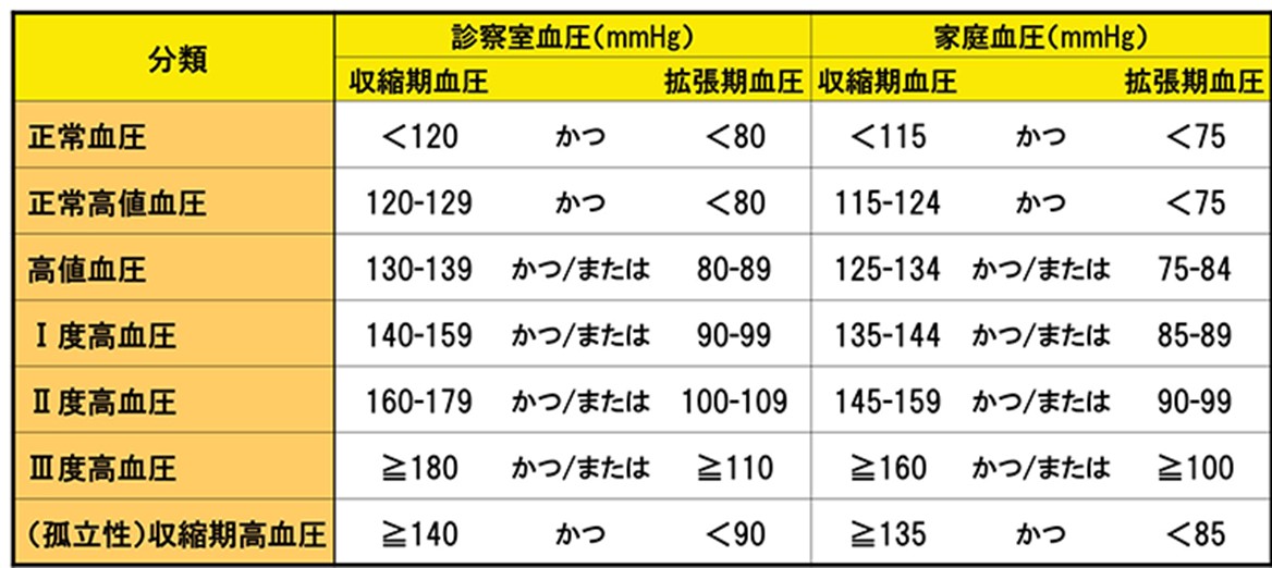 道の駅で高級メダカが激安の理由とは？2026年最新穴場と選び方