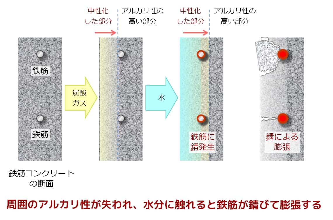 愛らしいハートの葉っぱ観葉植物が大人気！枯らさない秘訣とおすすめ品種