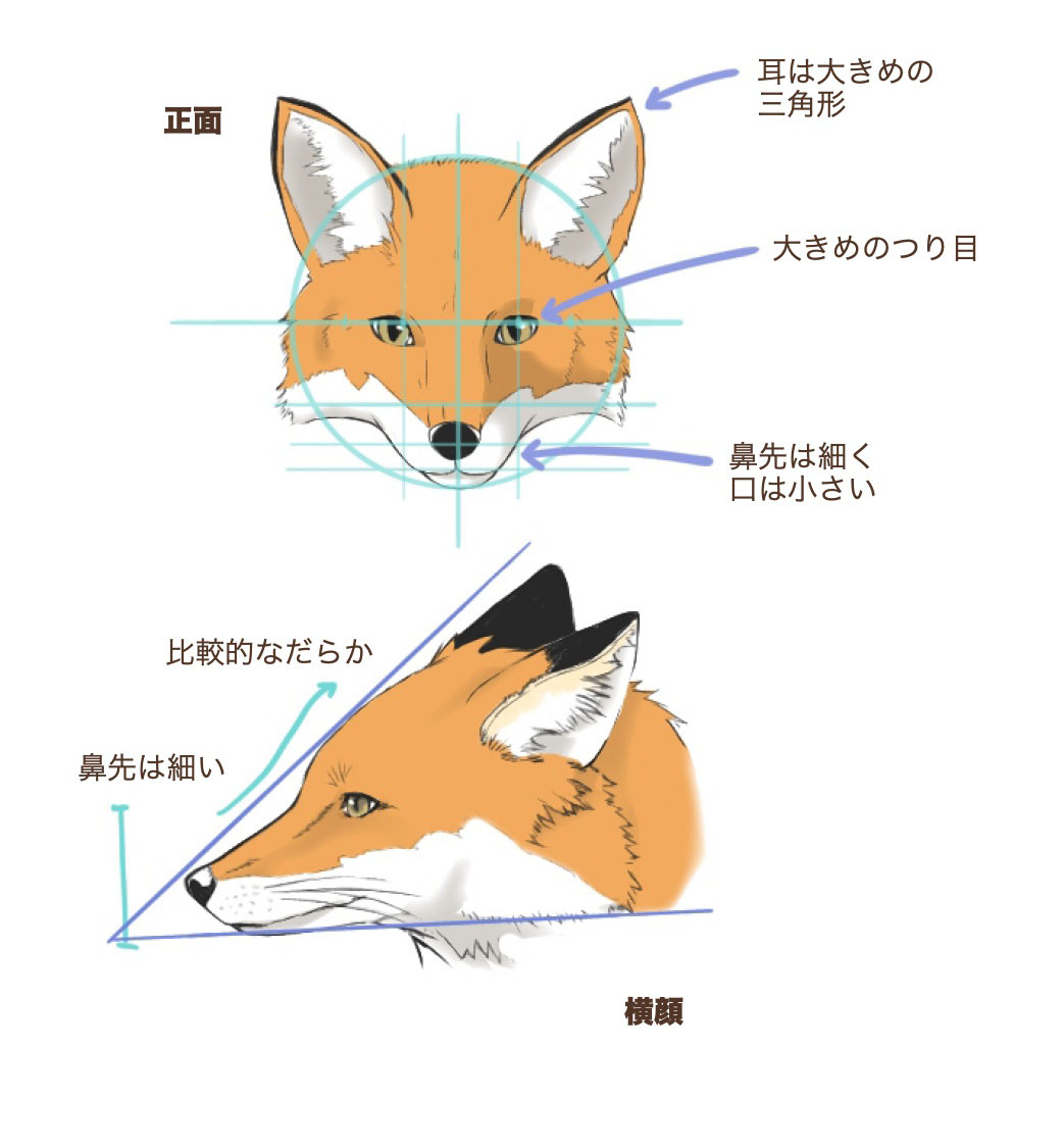 ララシャンス ベルアミーのリアル！費用と演出の裏側を徹底解剖
