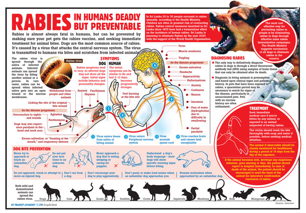 Is Rabies Fatal in Humans