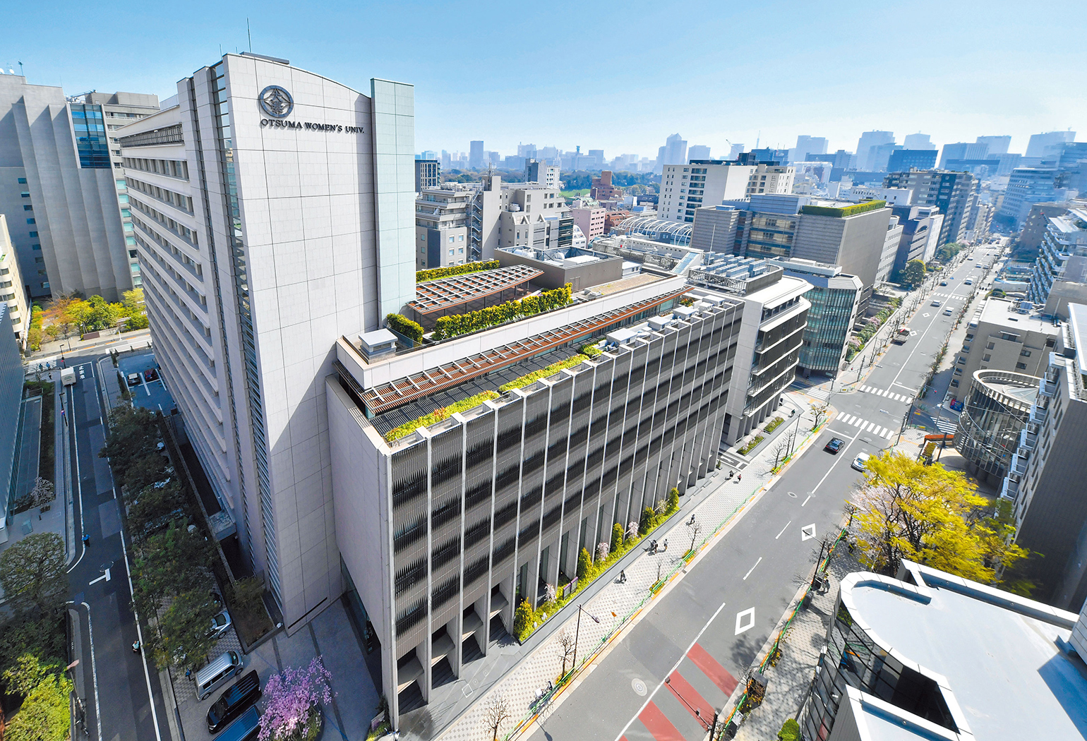 【2026年最新】東京家政大学の偏差値・難易度と穴場学部を徹底分析！