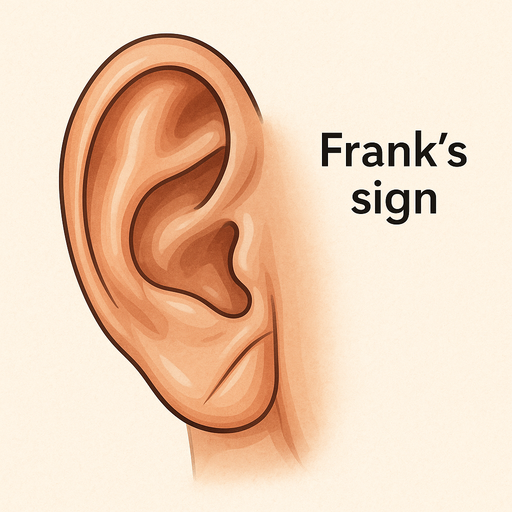 耳たぶのシワは心疾患のサイン？治す方法と受診すべき診療科の全知識