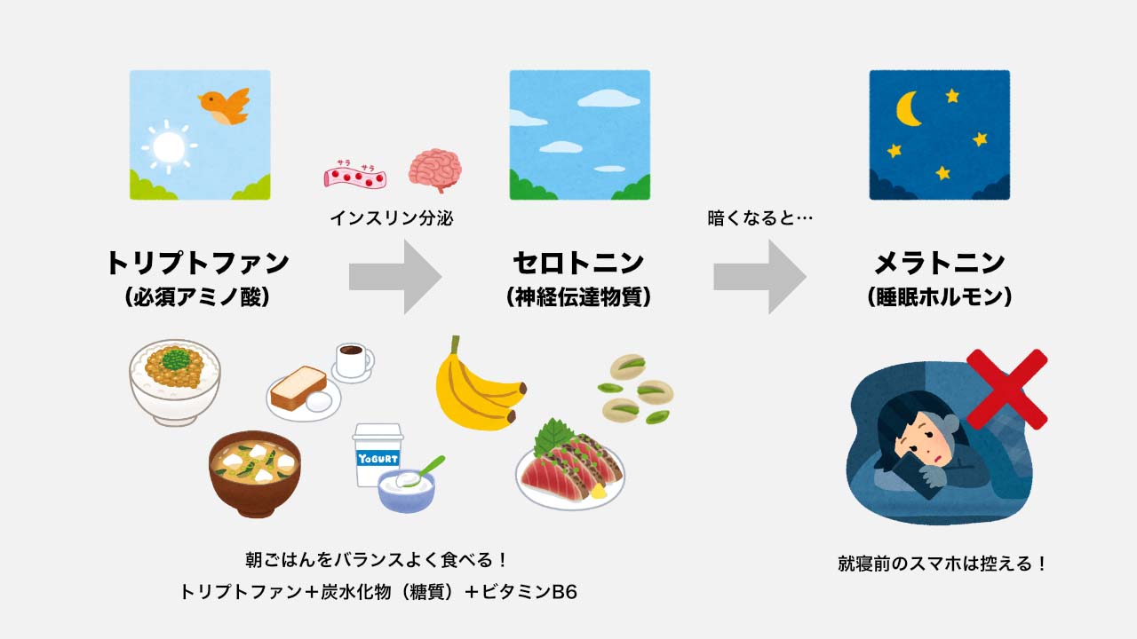 朝だるい人必見！睡眠の質を上げる方法2026年完全版