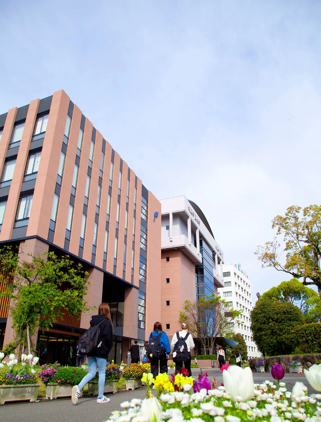 純真学園大学の評判と偏差値の真相｜医療4学科の就職と国試合格率