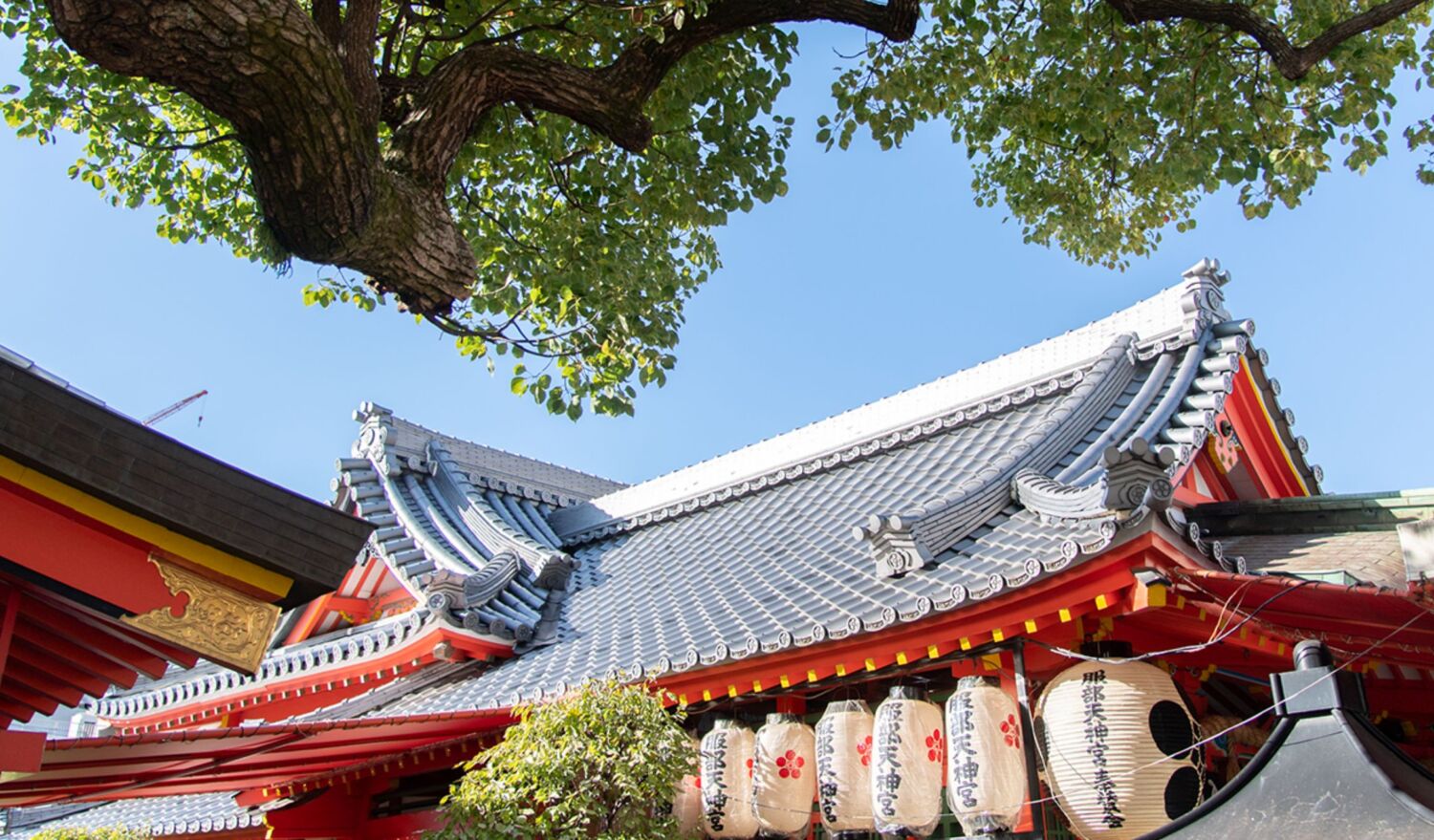 なぜ服部天神宮に走者が殺到？「足の神様」のご利益とお守りの真価