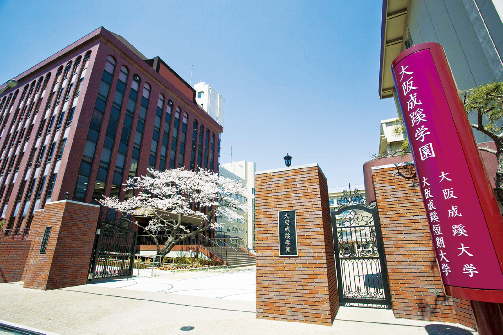 大阪成蹊女子高校のリアルな評判と偏差値｜美術科や進路の実態を徹底解剖