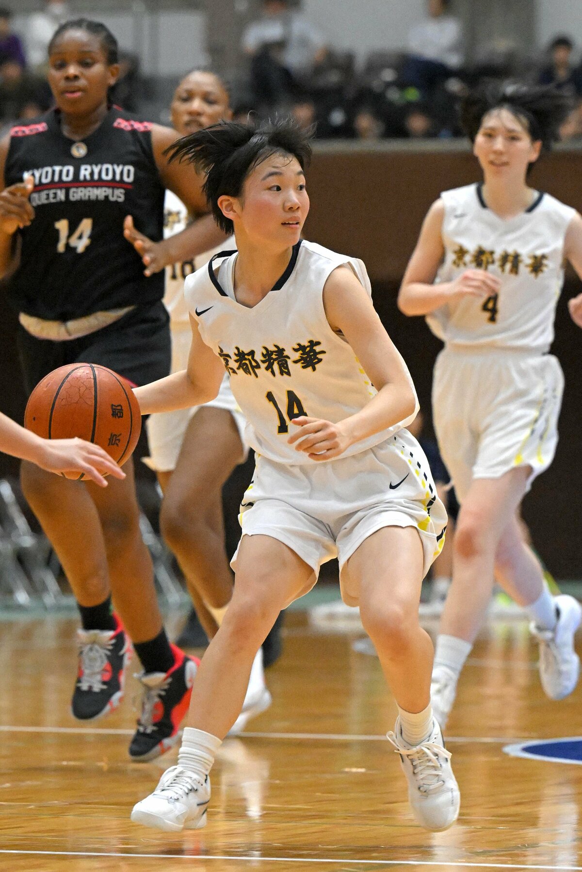 京都精華バスケ部の強さの秘密とは？育成メソッドと2026年最新動向