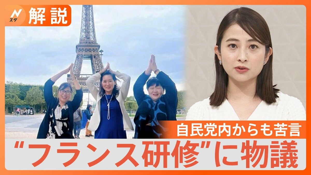 自民党フランス研修の真相｜炎上理由と費用負担・参加議員の現在まとめ