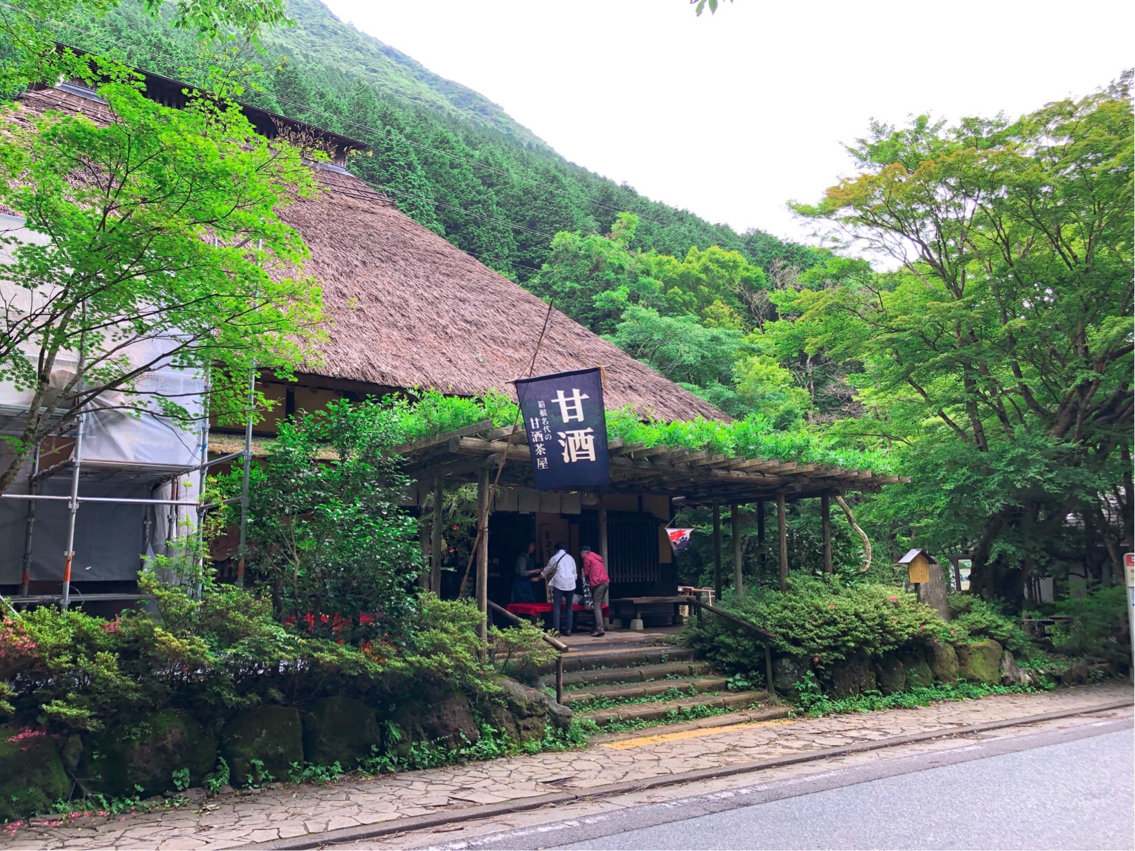 箱根・甘酒茶屋が400年愛される秘密｜絶品力餅と行き方を徹底解説