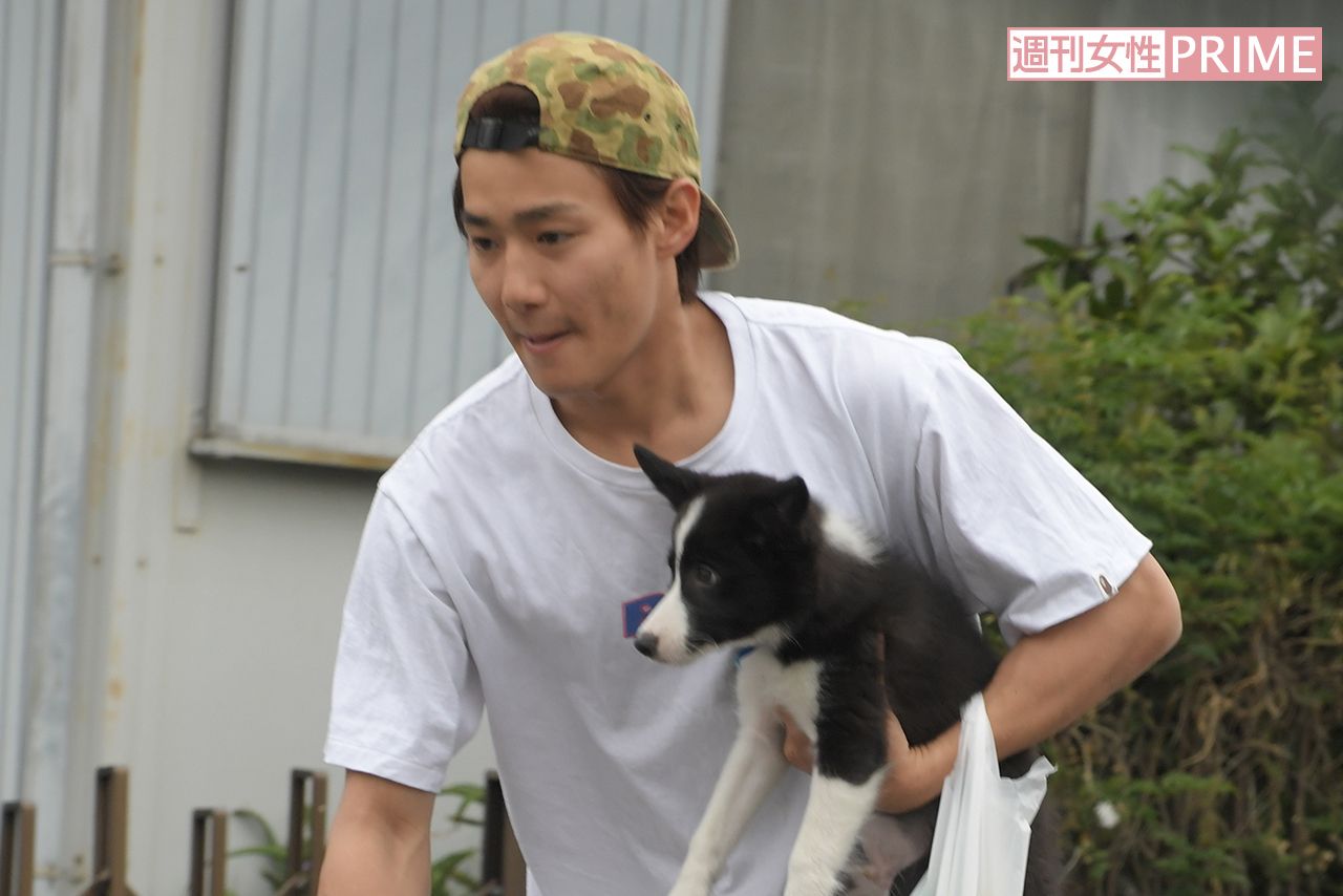 野村周平と愛犬の絆に迫る！Snsで話題の素顔と愛用品を独占取材