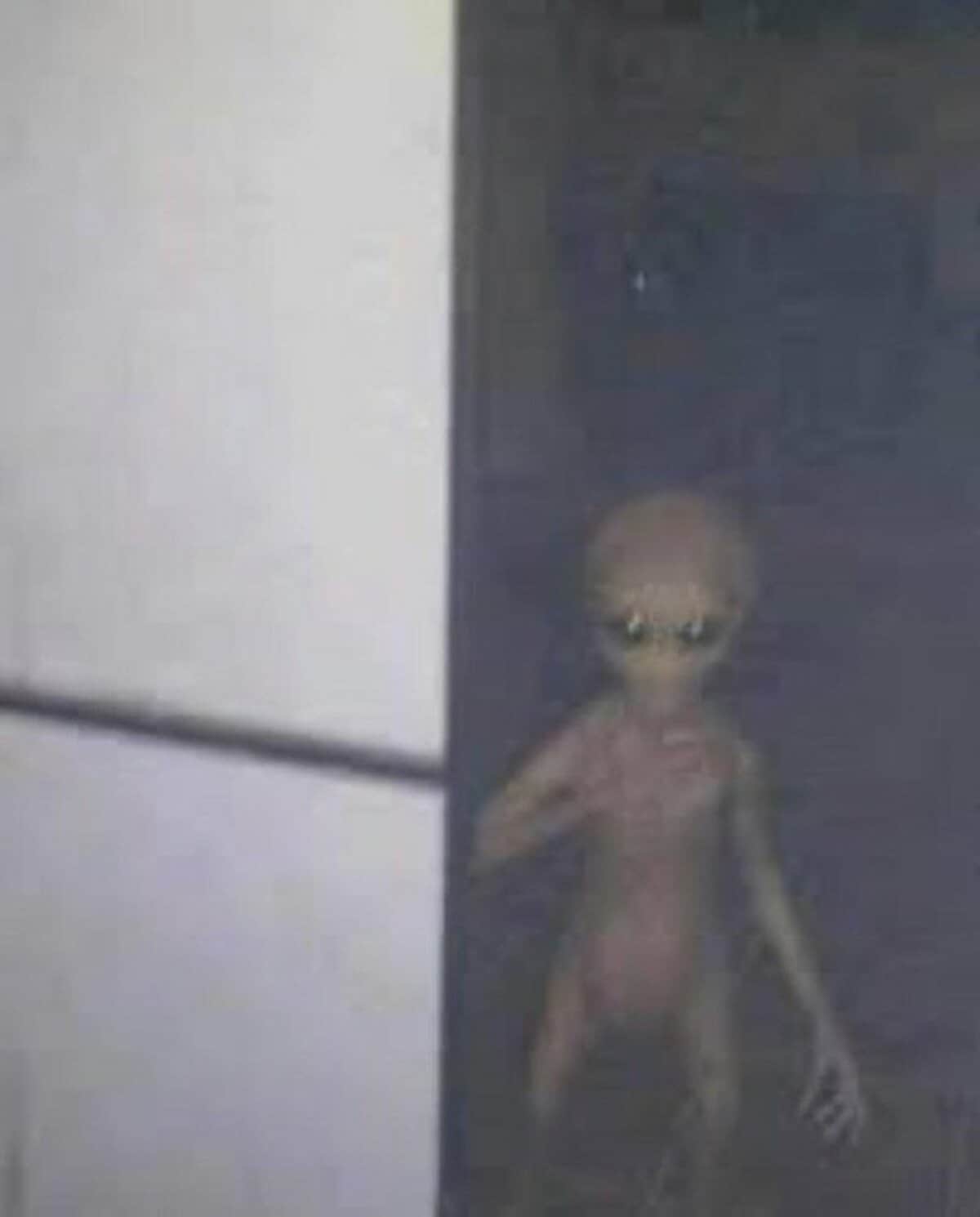宇宙人の本物画像は実在するのか？流出写真の真相と最新科学の結論