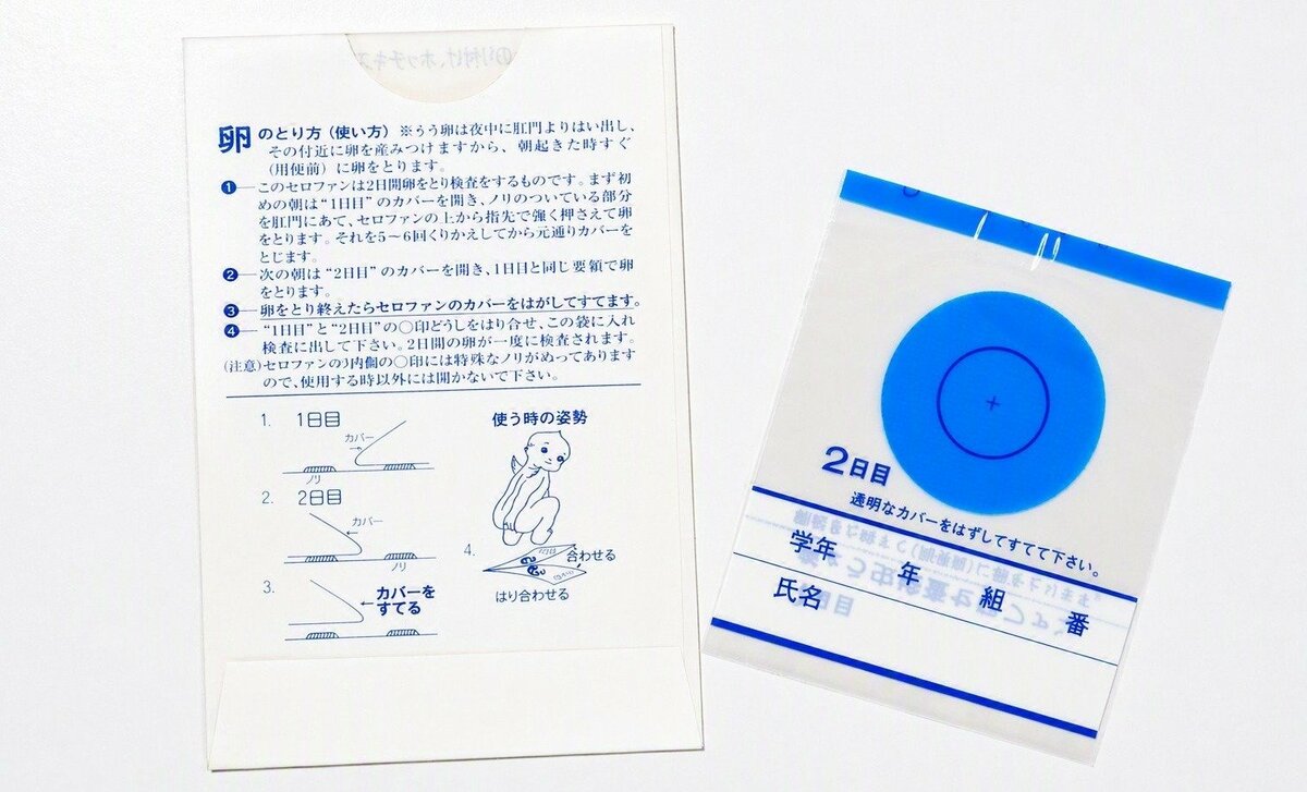 あの青いシート「蟯虫検査」とは？学校健診から消えた理由と最新実態
