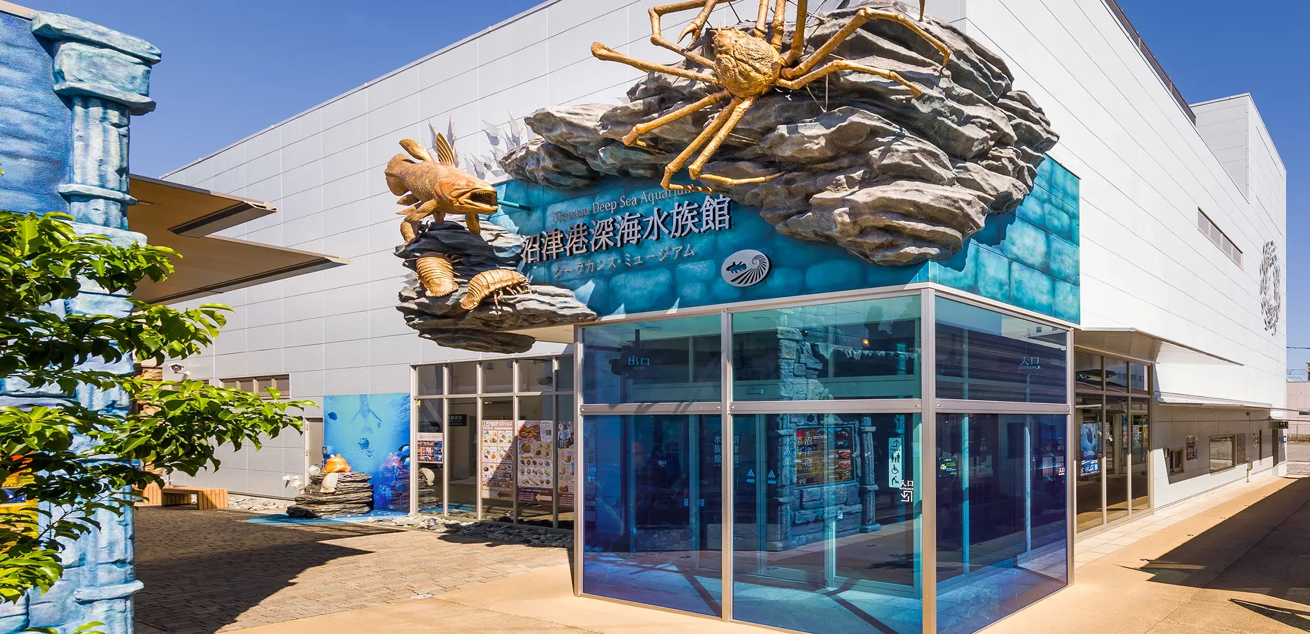 沼津港深海水族館の混雑と見どころ完全ガイド【2026年最新】