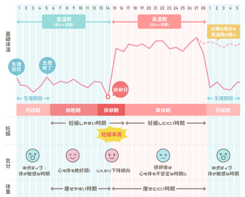 生理中の微熱・だるさはなぜ続く？風邪との見分け方と受診目安を解説