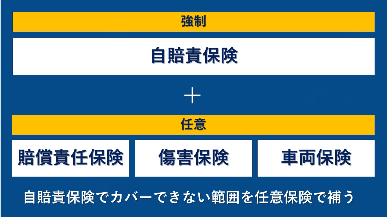 自動車保険で損しない鉄則！年間３万円浮かすプロの最強見直し術