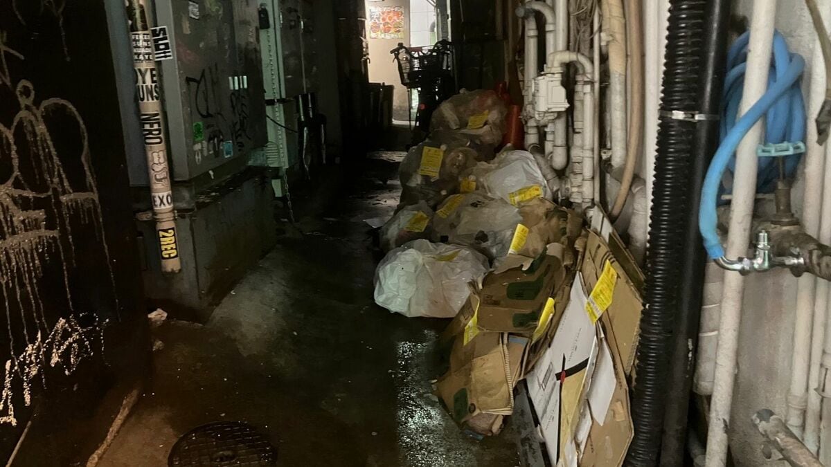 歌舞伎町の闇に蠢くネズミ大繁殖！飲食店街の衛生危機と駆除の全貌