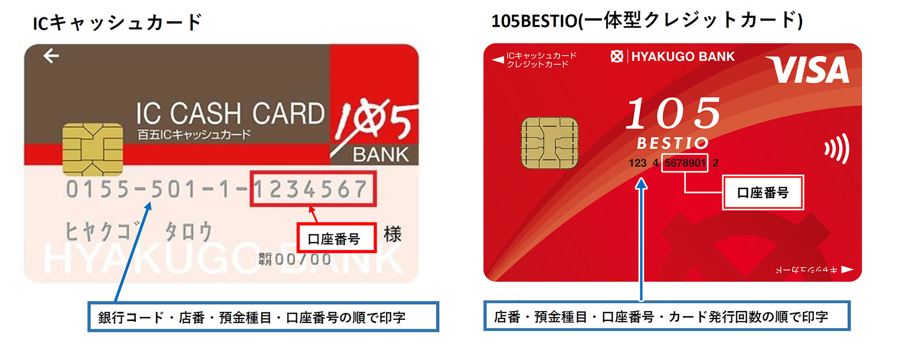 キャッシュカード口座番号はどれ？見分け方と悪用の真相【2026年】