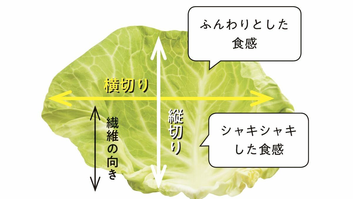 キャベツの栄養損してない？生と加熱の差や芯の真価を徹底解説