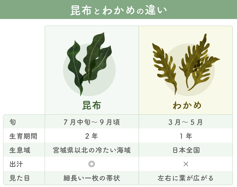 昆布とワカメの違いを徹底比較！出汁・栄養・見分け方の全貌【2026】