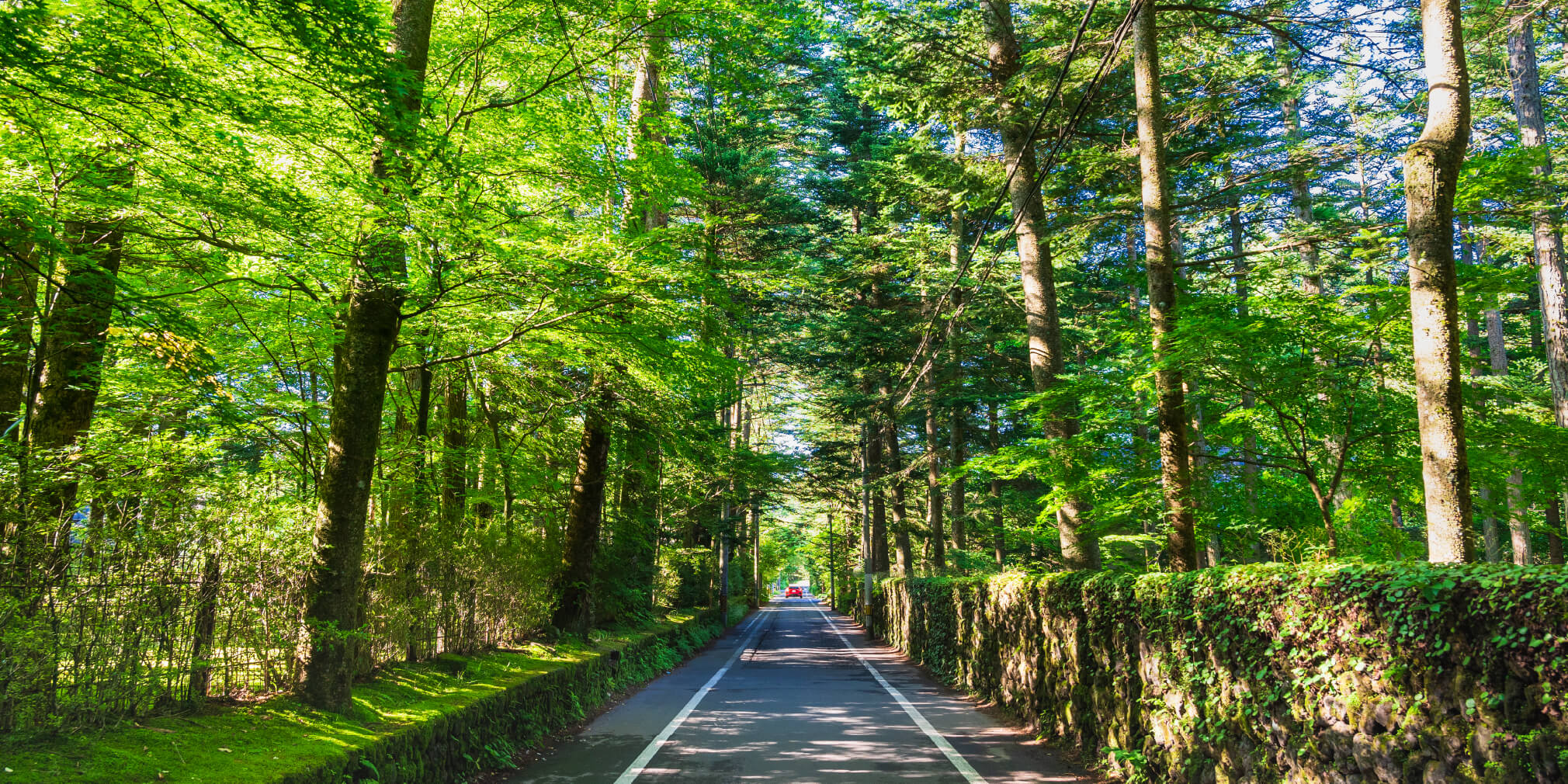 山口県萩市の衰退説は本当か？世界遺産の街2026年最新の真相