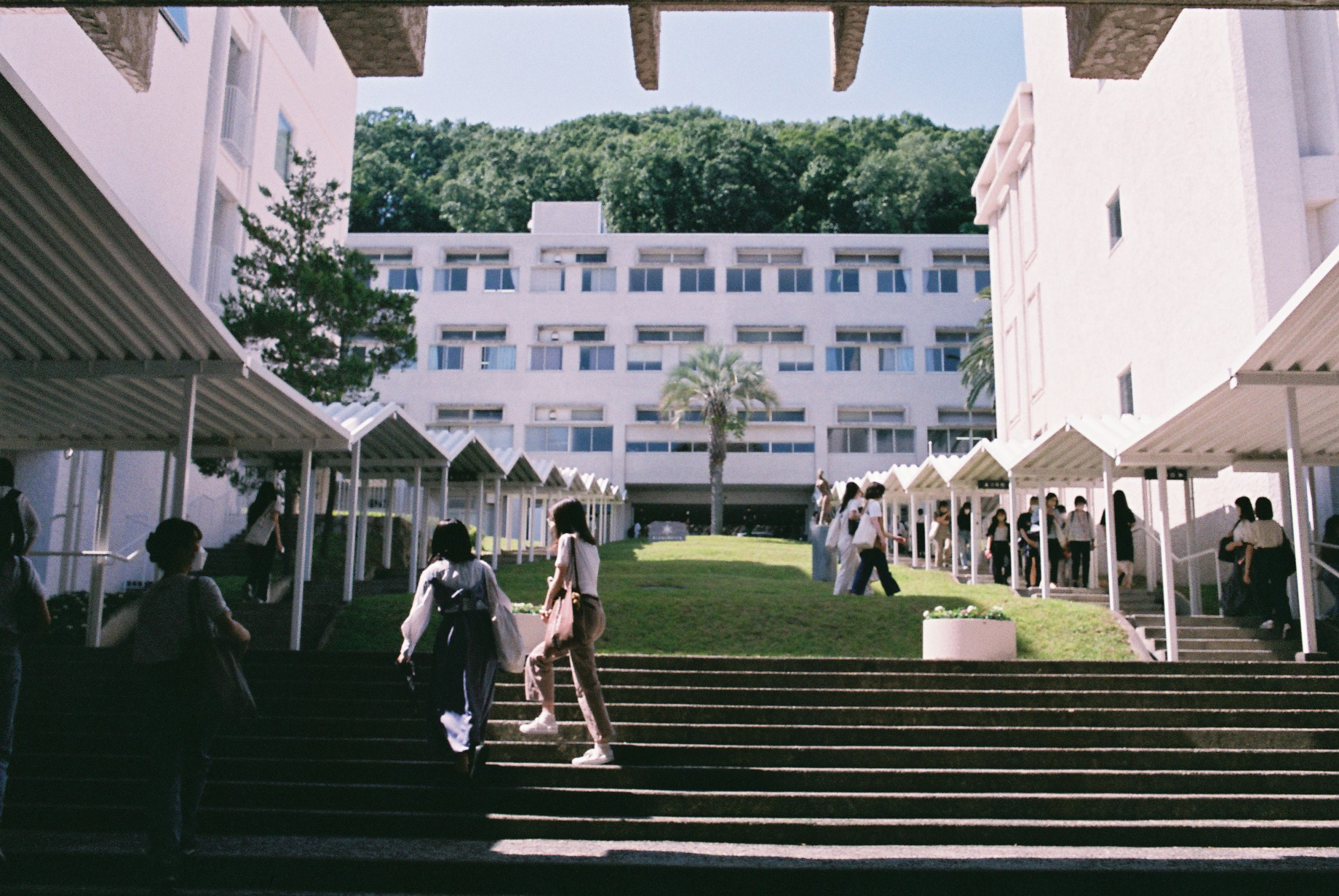 甲南女子大学のリアルな評判と偏差値｜お嬢様説の真相や看護・就職力