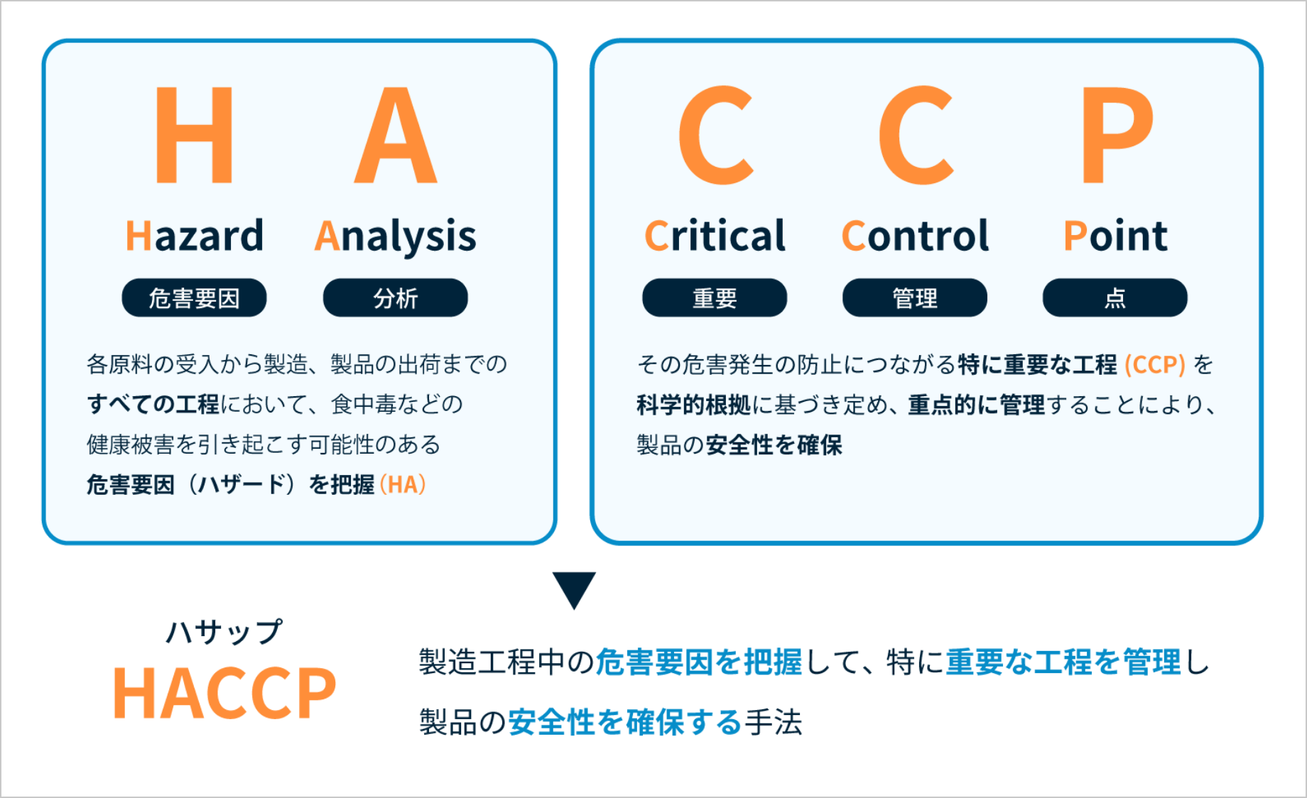 学校給食衛生管理基準の改訂ポイントと現場の盲点を徹底解説