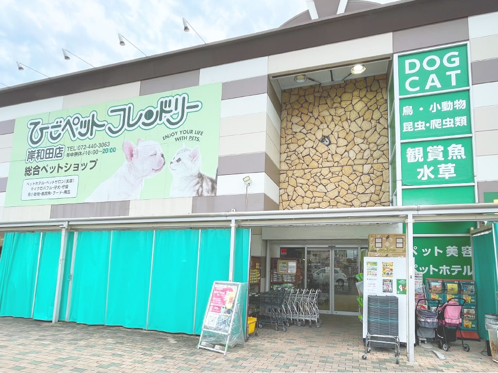 ひごペットフレンドリー岸和田店の評判は？生体価格やサロン実態を総力取材