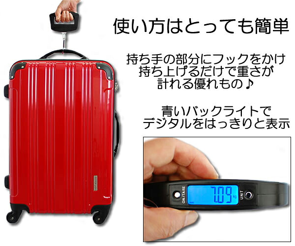 Lcc追加料金を回避！100均のスーツケース重さ計り徹底検証