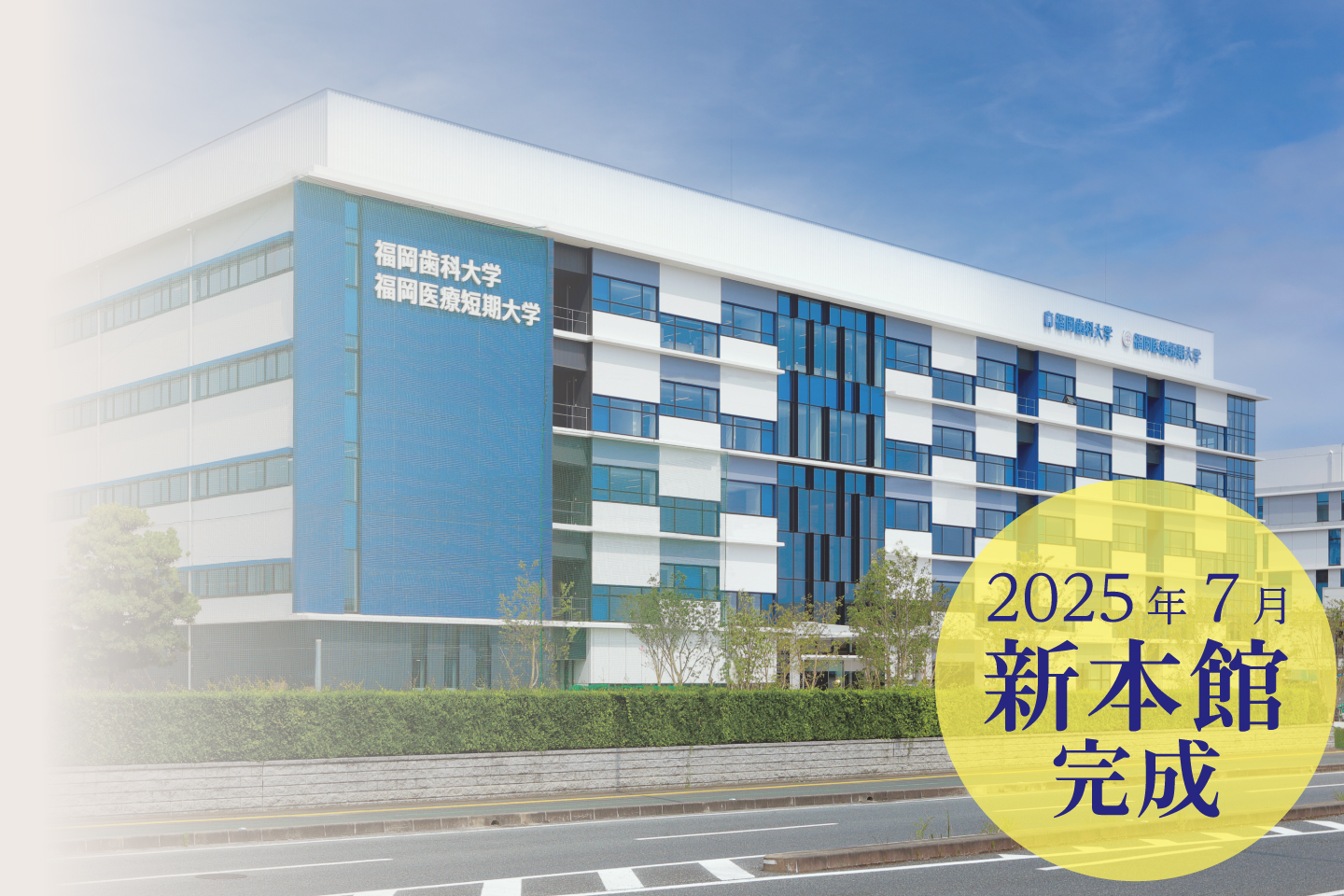 福岡の短期大学選び2026｜就職率・学費・募集動向を徹底比較