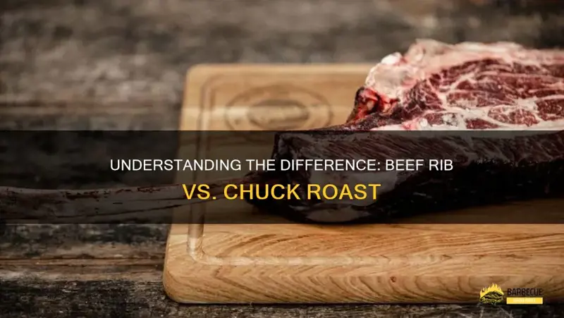 Short Rib vs Chuck Roast