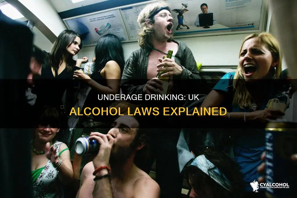 Is It Illegal to Drink in Public in the Uk