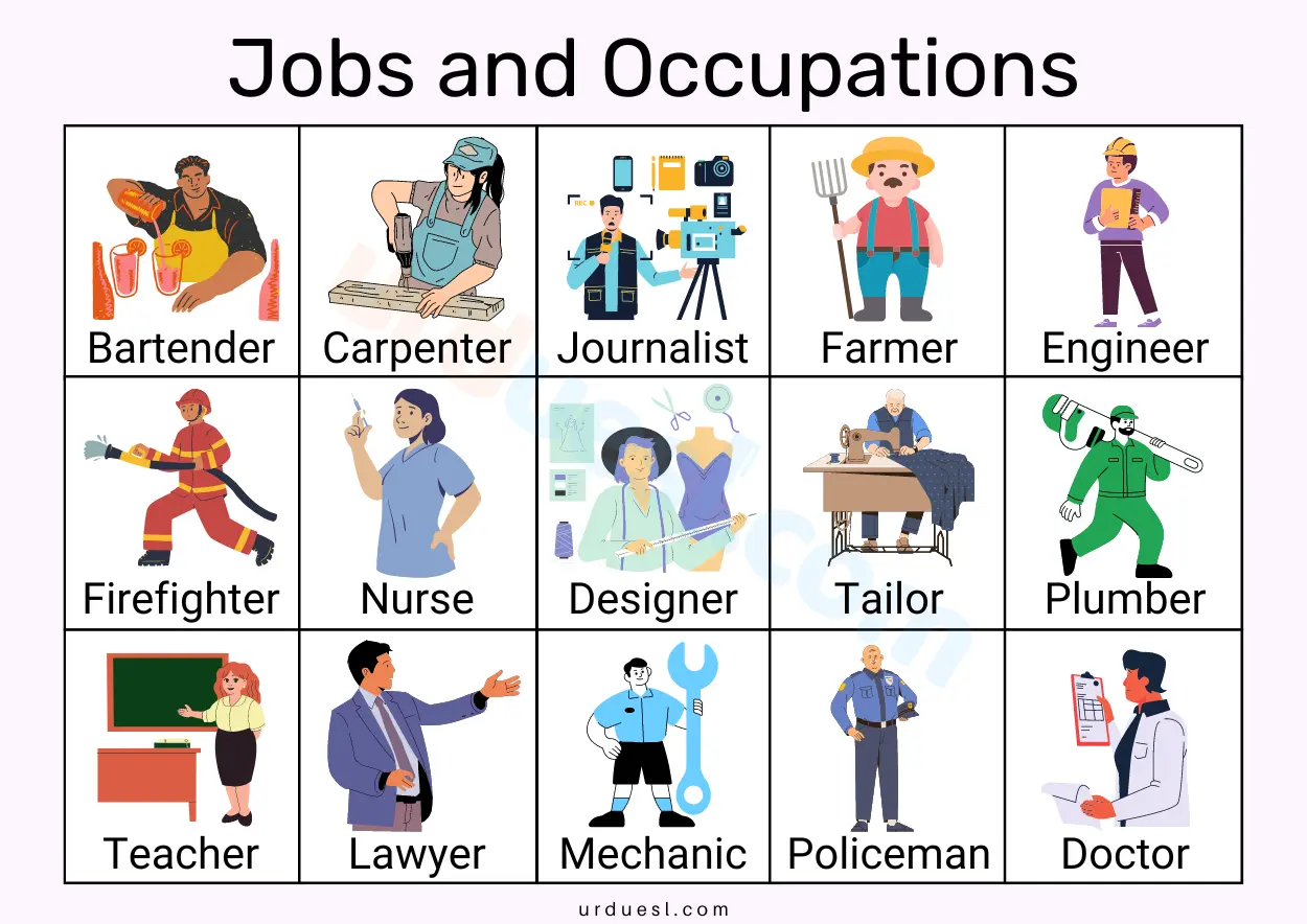 List Other Occupations That Are Similar or Related