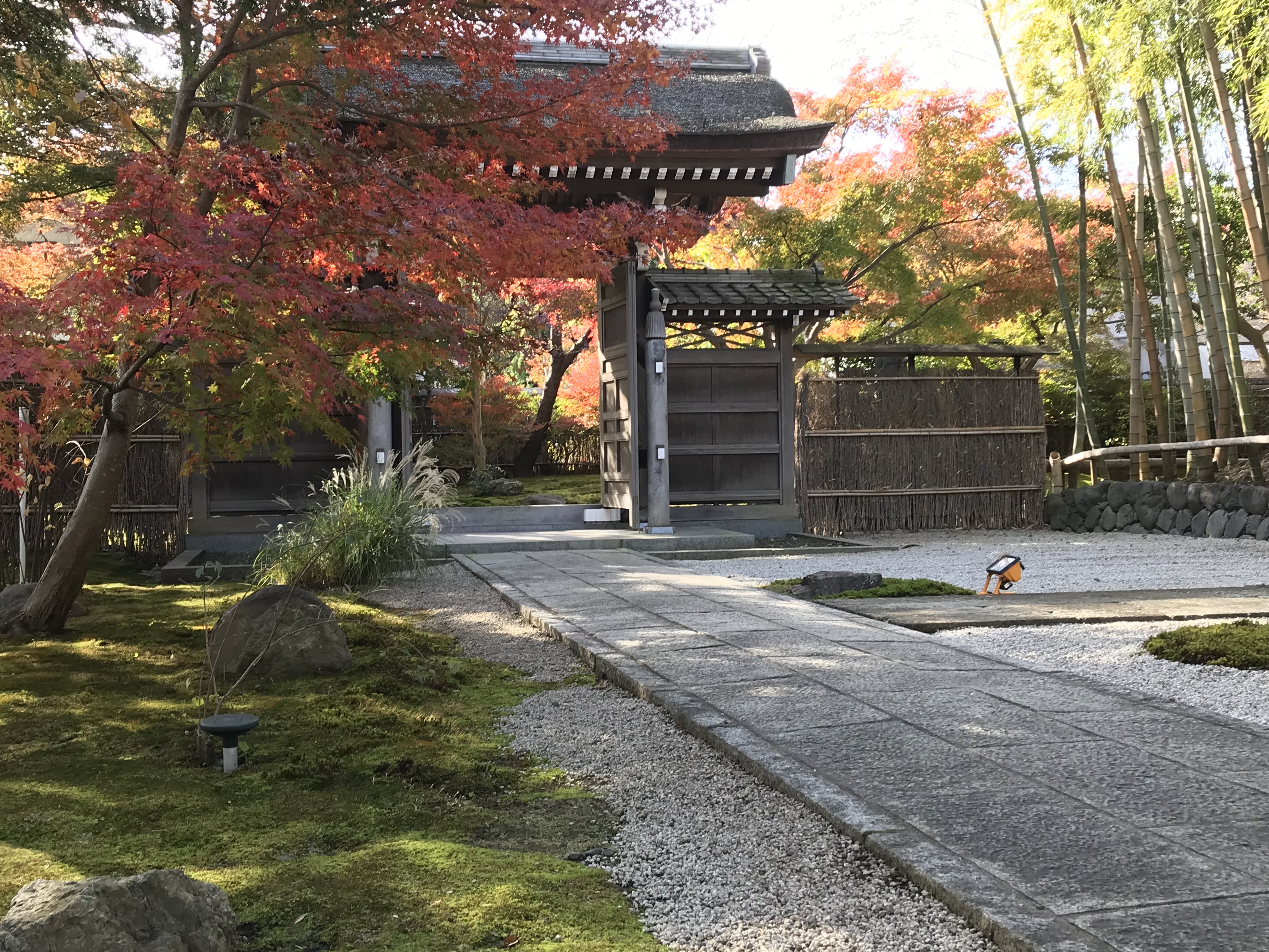 常福寺の真相と魅力に迫る｜御朱印・宗派と2026年最新の現地実態