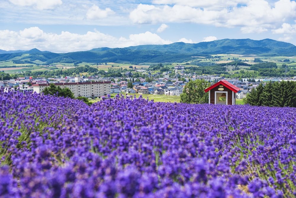 10月の北海道観光2026！服装の失敗を防ぐ防寒対策と紅葉グルメ完全網羅