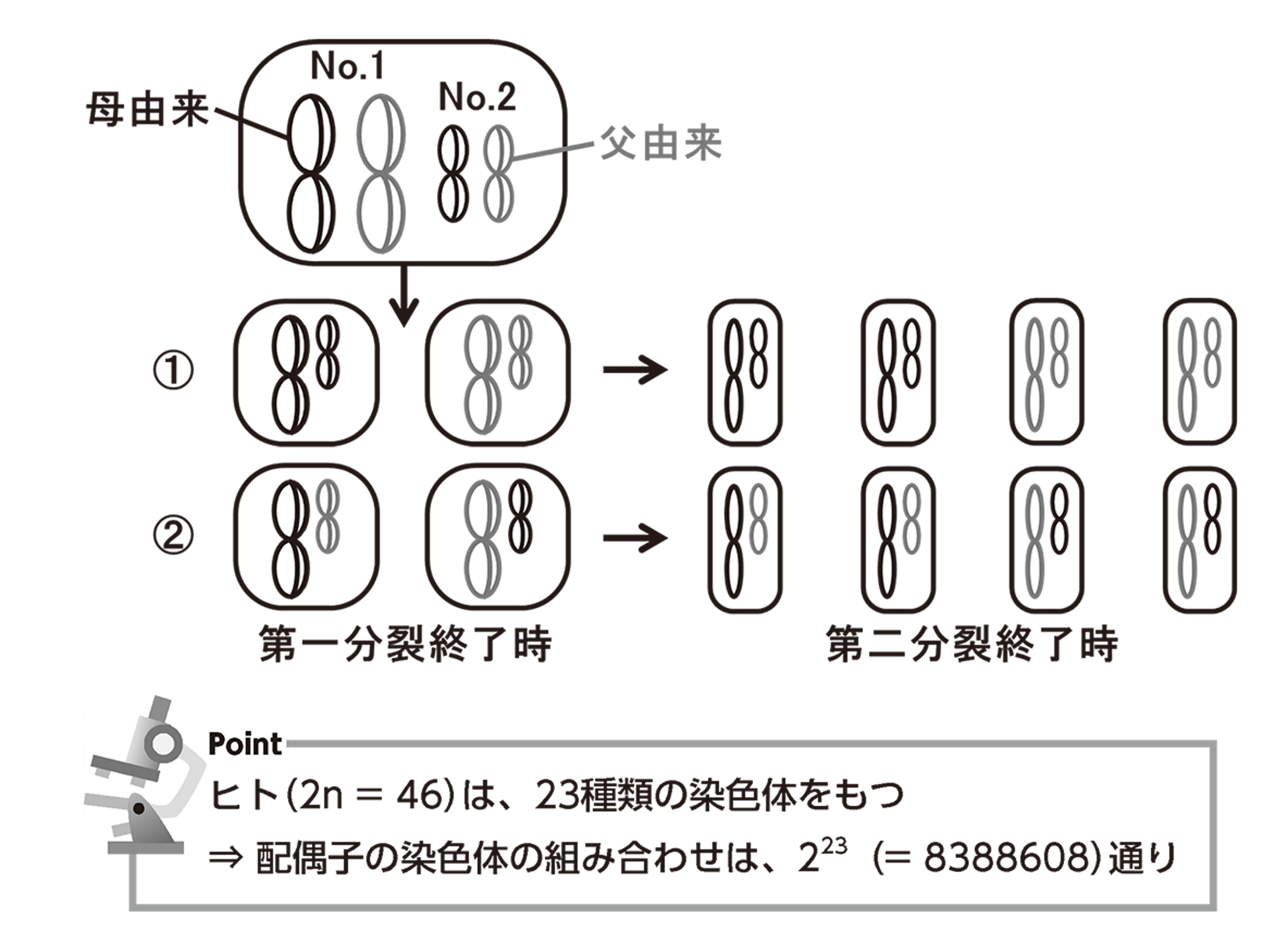 2ちゃんねるはなぜ消えた？5Ch改名の真相と現在の閲覧法を徹底解説