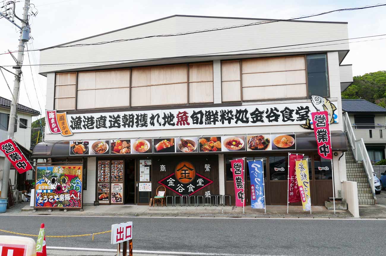 房総の海沿いに伸びる長蛇の列——なぜ今、私たちはこの港町の黄金アジに魅了されるのか【2026年現地ルポ】