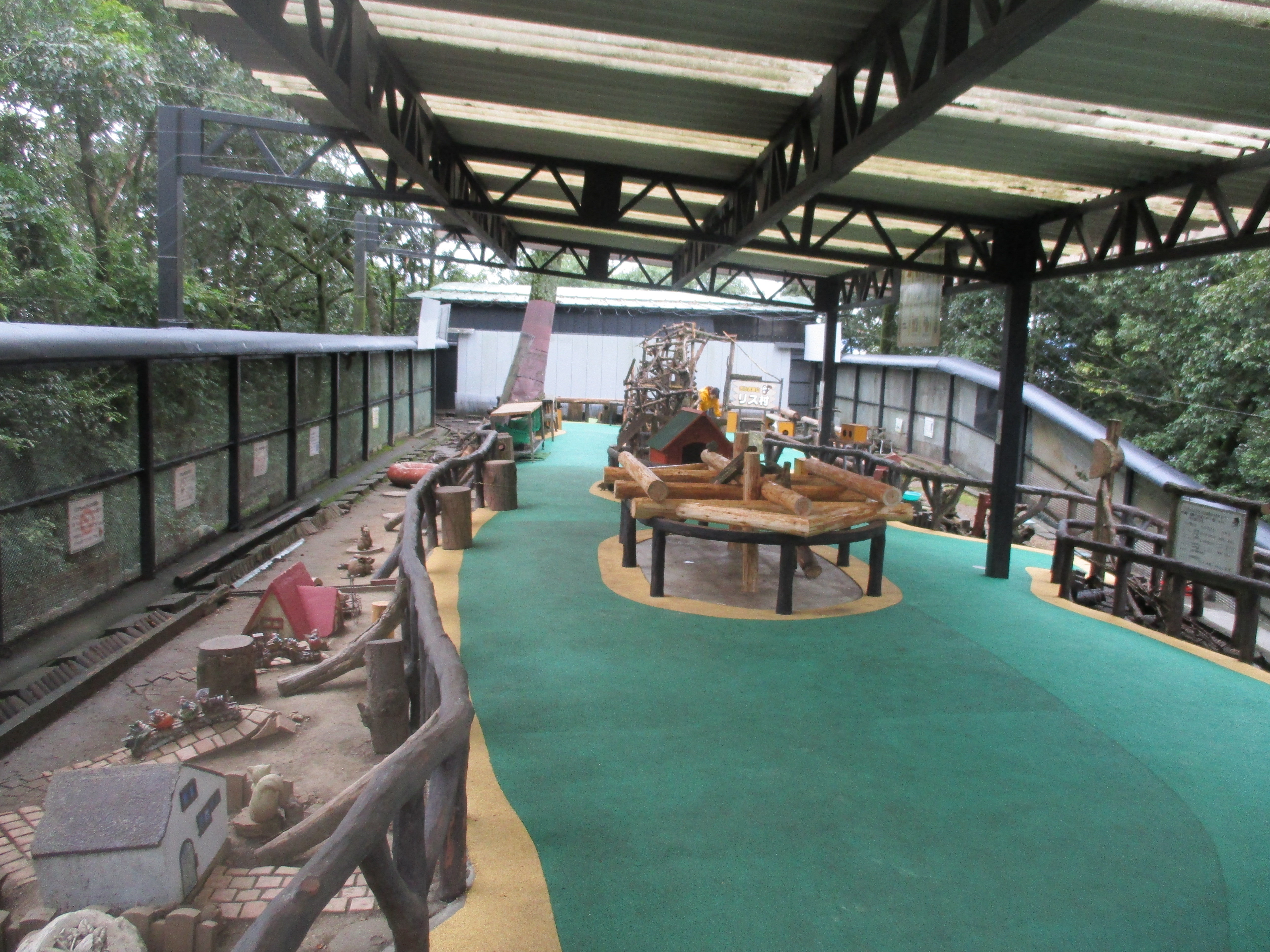 ぎふ金華山リス村2026！餌やり体験・料金・混雑と注意点徹底解説