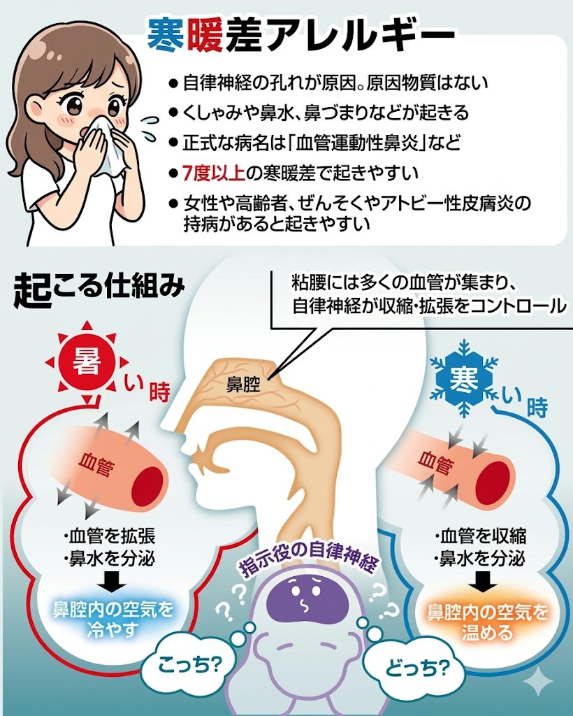 寒暖差で鼻水が止まらない謎｜血管運動性鼻炎の最新メカニズムと治し方