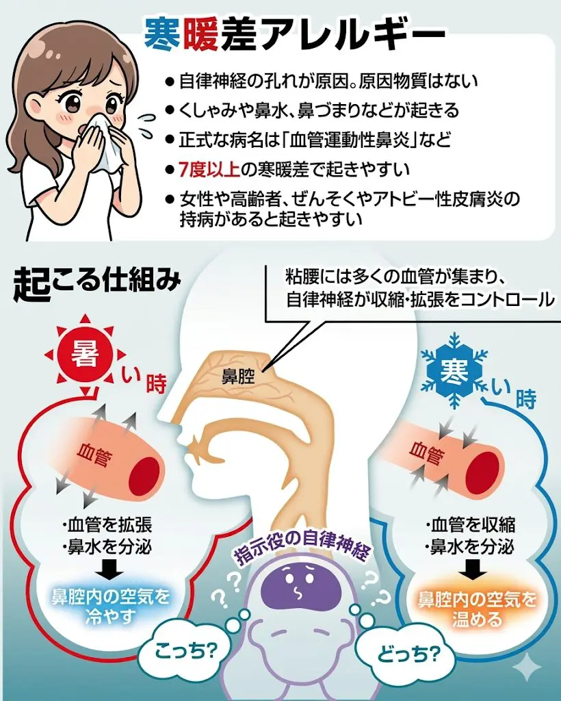 陰性なのに止まらない鼻水！血管運動性鼻炎の治し方と最新治療2026