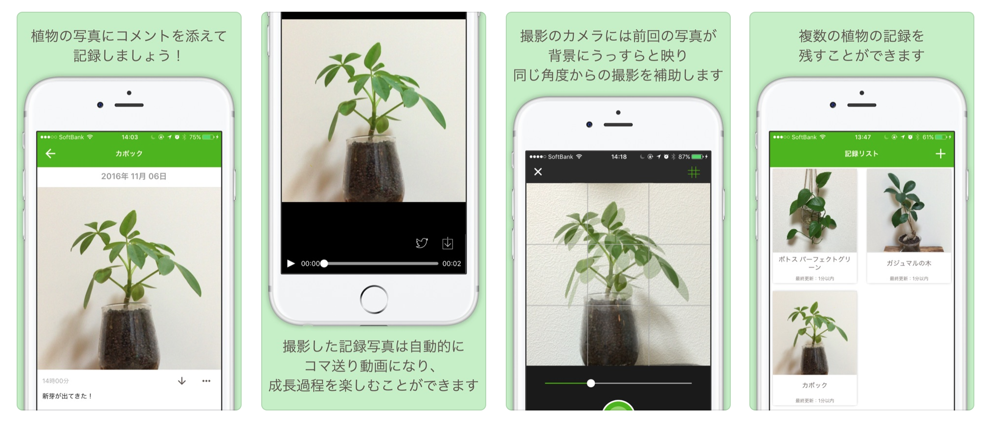 もう枯らさない！2026年最新の植物育成アプリ徹底比較と選び方