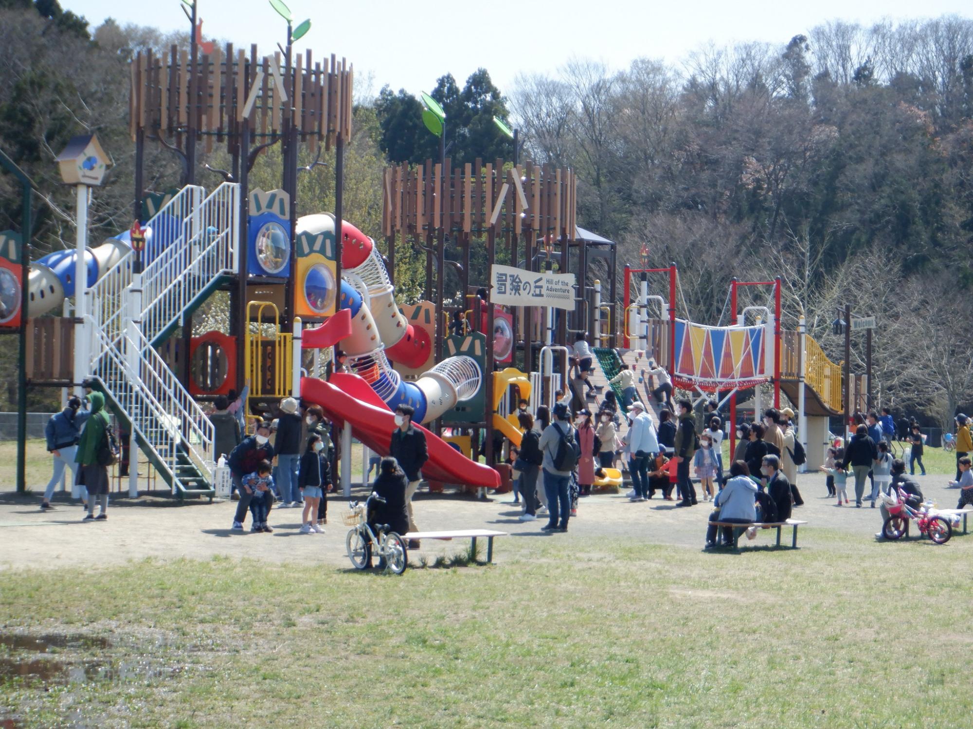 モリリン加瀬沼公園の魅力を徹底解剖！大型遊具とBbq攻略の全貌