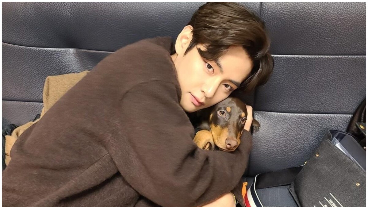 Where Did Jungkook Get Bam