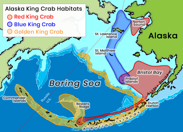 King Crab from Where