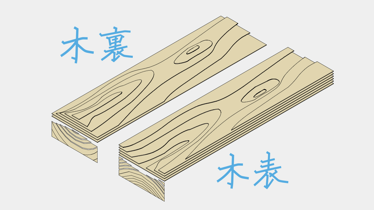 木表と木裏の違いと見分け方｜反りや使い分けの失敗を防ぐプロの木材学