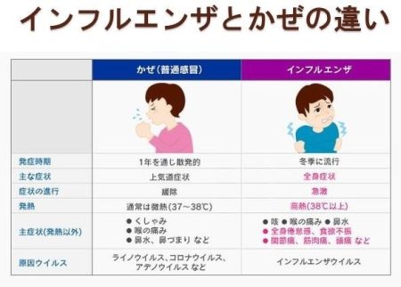 【必見】 インフルエンザ に ならない 人 ファン必見の最新情報 #608
