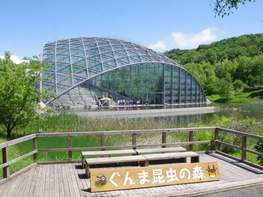 ぐんま昆虫の森を徹底解剖！温室の蝶や料金・雨の日の見どころ全網羅